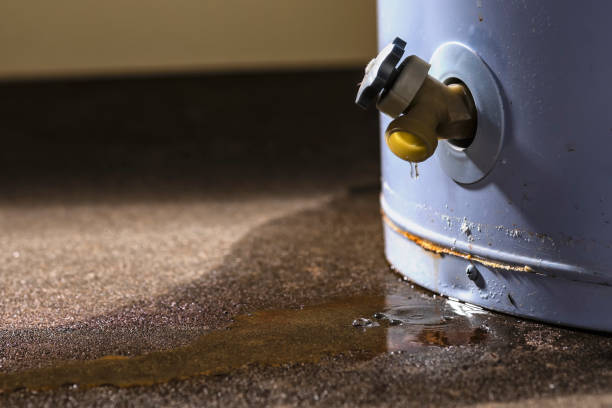 Best Flooded house restoration  in Lamesa, TX