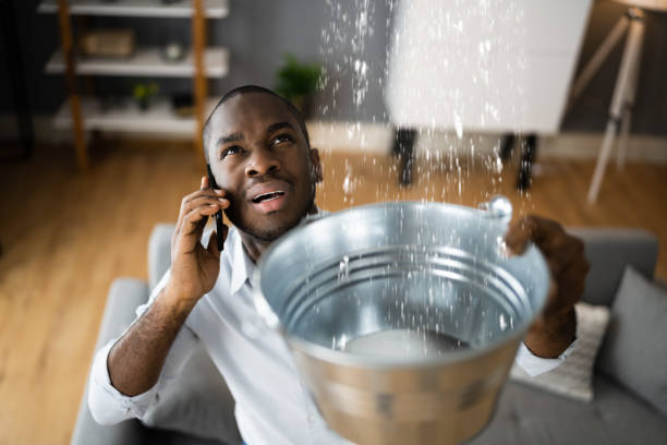 Best 24-hour water damage restoration  in Lamesa, TX