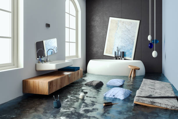 Best Mold removal after water damage  in Lamesa, TX