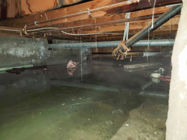 Best Flooded house restoration  in Lamesa, TX