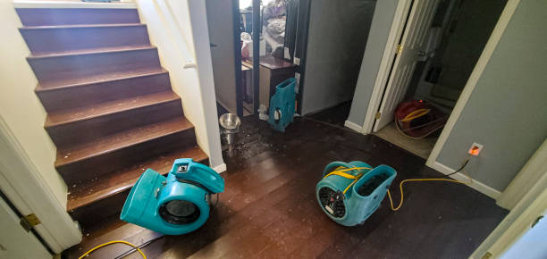 Best 24/7 water damage repair  in Lamesa, TX