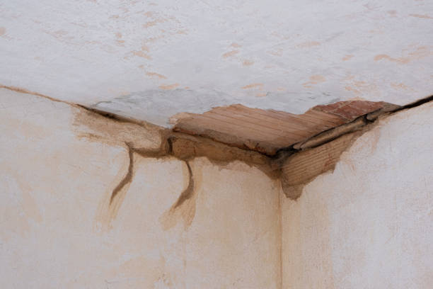 Best Local water damage restoration  in Lamesa, TX