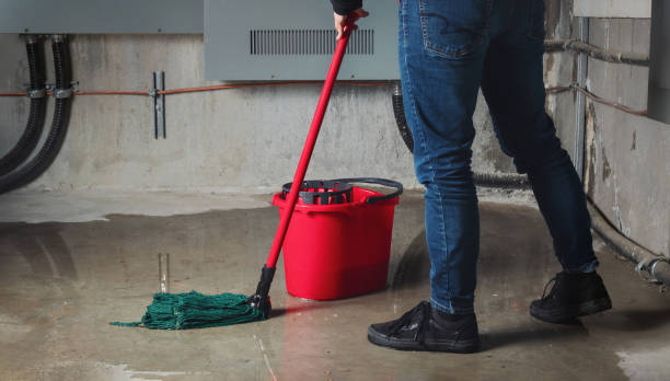 Best Ceiling water damage repair  in Lamesa, TX