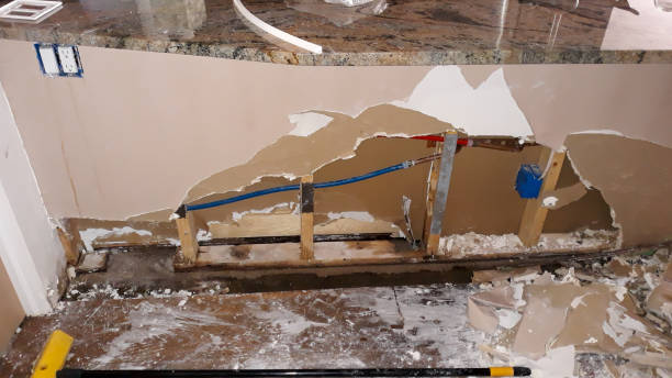 Best Water damage restoration services  in Lamesa, TX