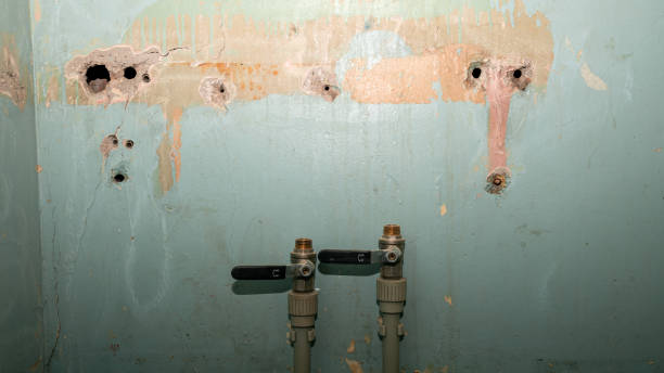 Best Professional water damage repair  in Lamesa, TX