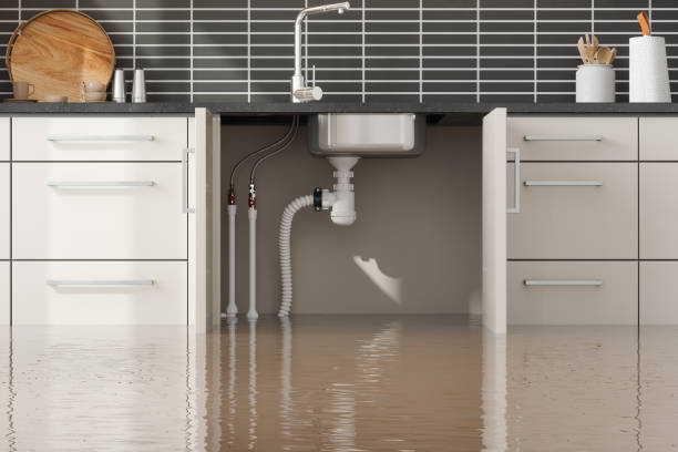 Best Commercial water damage restoration  in Lamesa, TX