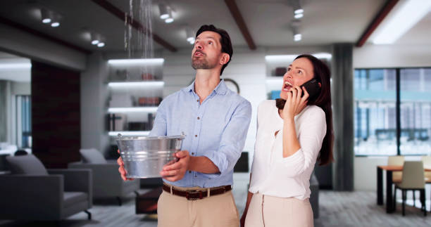 Best Carpet water damage restoration  in Lamesa, TX